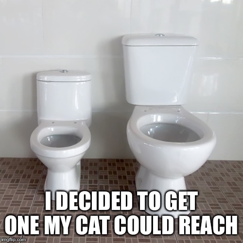 I DECIDED TO GET ONE MY CAT COULD REACH | image tagged in toilet | made w/ Imgflip meme maker