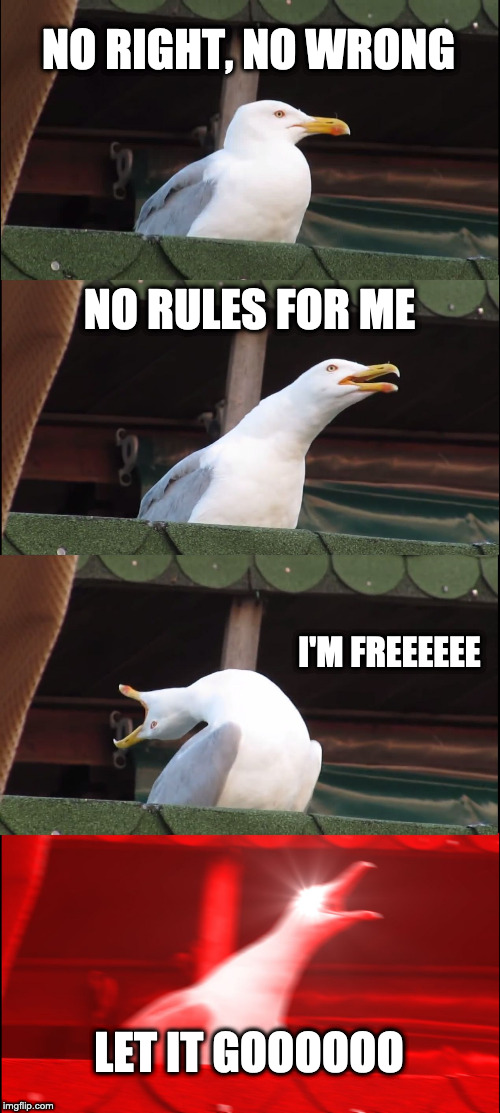 Inhaling Seagull Meme | NO RIGHT, NO WRONG; NO RULES FOR ME; I'M FREEEEEE; LET IT GOOOOOO | image tagged in memes,inhaling seagull | made w/ Imgflip meme maker