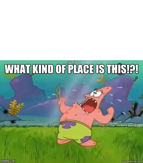 High Quality What kind of place is this? Blank Meme Template