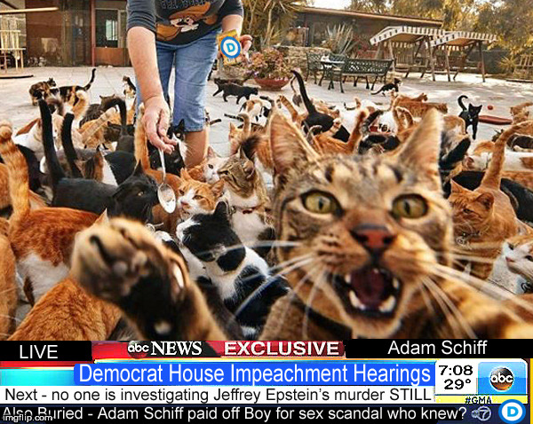 Trump Impeachment Hearing - LIVE | image tagged in trump impeachment hearing,donald trump,impeach trump,adam schiff,lol so funny,politics lol | made w/ Imgflip meme maker