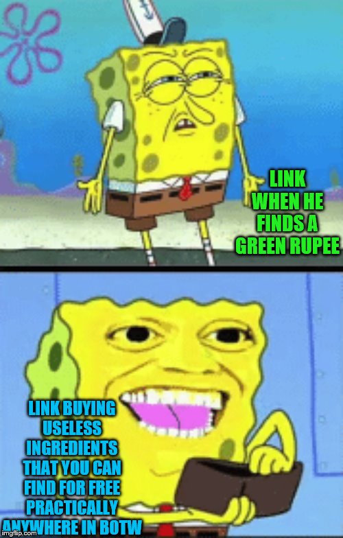 Spongebob money | LINK WHEN HE FINDS A GREEN RUPEE; LINK BUYING USELESS INGREDIENTS THAT YOU CAN FIND FOR FREE PRACTICALLY ANYWHERE IN BOTW | image tagged in spongebob money | made w/ Imgflip meme maker