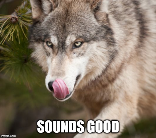 yummy | SOUNDS GOOD | image tagged in yummy | made w/ Imgflip meme maker