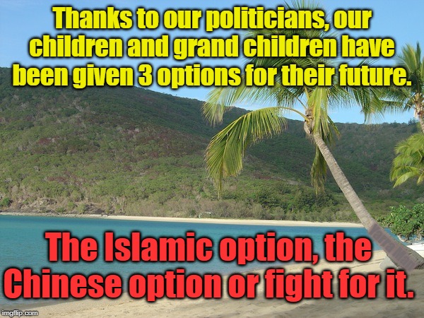 Chinese Islamic Options | Thanks to our politicians, our children and grand children have been given 3 options for their future. The Islamic option, the Chinese option or fight for it. Yarra Man | image tagged in chinese islamic options | made w/ Imgflip meme maker