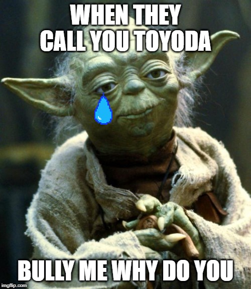 Star Wars Yoda Meme | WHEN THEY CALL YOU TOYODA; BULLY ME WHY DO YOU | image tagged in memes,star wars yoda | made w/ Imgflip meme maker