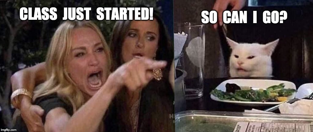 woman yelling at cat | SO  CAN  I  GO? CLASS  JUST  STARTED! | image tagged in woman yelling at cat | made w/ Imgflip meme maker