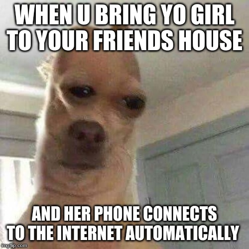 WHEN U BRING YO GIRL TO YOUR FRIENDS HOUSE; AND HER PHONE CONNECTS TO THE INTERNET AUTOMATICALLY | image tagged in meme | made w/ Imgflip meme maker