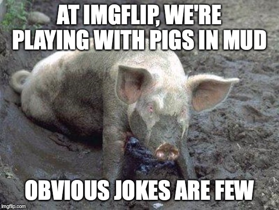 Pig in Mud | AT IMGFLIP, WE'RE PLAYING WITH PIGS IN MUD OBVIOUS JOKES ARE FEW | image tagged in pig in mud | made w/ Imgflip meme maker