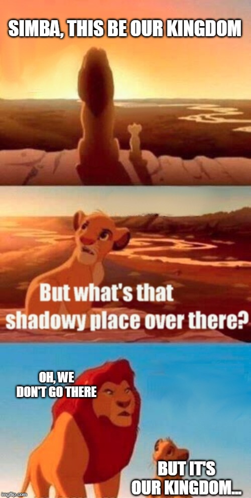 Simba Shadowy Place Meme | SIMBA, THIS BE OUR KINGDOM; OH, WE DON'T GO THERE; BUT IT'S OUR KINGDOM... | image tagged in memes,simba shadowy place | made w/ Imgflip meme maker