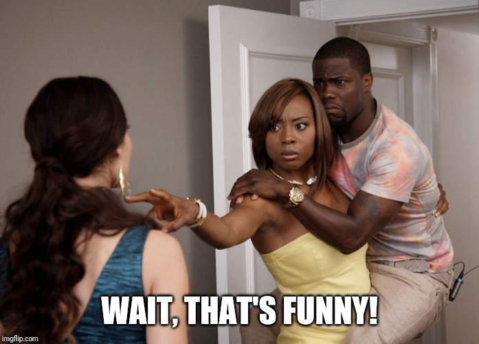WAIT, THAT'S FUNNY! | image tagged in woman holding kevin hart | made w/ Imgflip meme maker