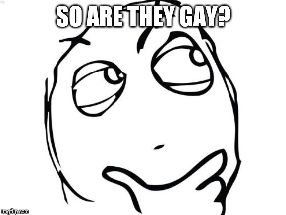 Question Rage Face Meme | SO ARE THEY GAY? | image tagged in memes,question rage face | made w/ Imgflip meme maker