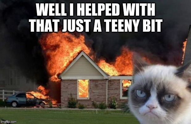 Burn Kitty Meme | WELL I HELPED WITH THAT JUST A TEENY BIT | image tagged in memes,burn kitty,grumpy cat | made w/ Imgflip meme maker
