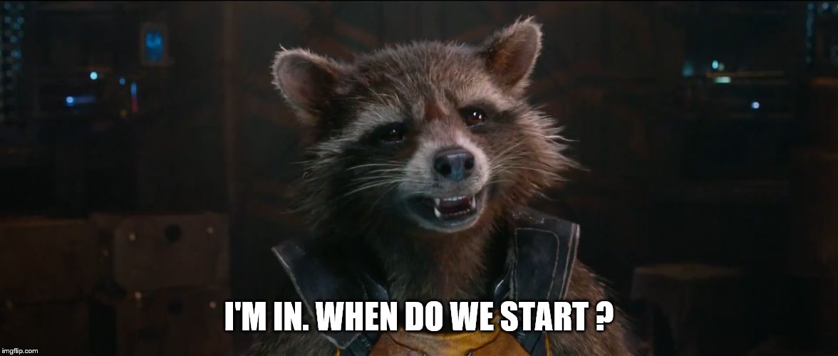 Rocket Racoon | I'M IN. WHEN DO WE START ? | image tagged in rocket racoon | made w/ Imgflip meme maker