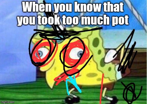 Mocking Spongebob | When you know that you took too much pot | image tagged in memes,mocking spongebob | made w/ Imgflip meme maker