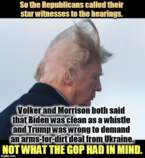 When the defense winds up bolstering the prosecution case, it has failed, and failed spectacularly. | So the Republicans called their 
star witnesses to the hearings. Volker and Morrison both said 
that Biden was clean as a whistle 
and Trump was wrong to demand 
an arms-for-dirt deal from Ukraine. NOT WHAT THE GOP HAD IN MIND. | image tagged in trump hair,trump,impeachment,witnesses,gop,republican | made w/ Imgflip meme maker