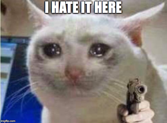 sad cat | I HATE IT HERE | image tagged in cat | made w/ Imgflip meme maker