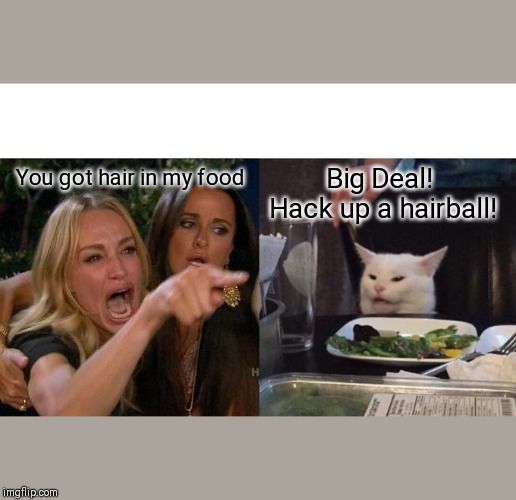 Woman Yelling At Cat Meme | You got hair in my food; Big Deal!  Hack up a hairball! | image tagged in memes,woman yelling at cat | made w/ Imgflip meme maker