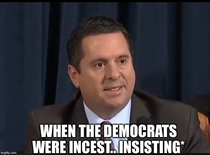 Had a laugh when I heard this, looks like he did too | WHEN THE DEMOCRATS WERE INCEST.. INSISTING* | image tagged in nunes | made w/ Imgflip meme maker