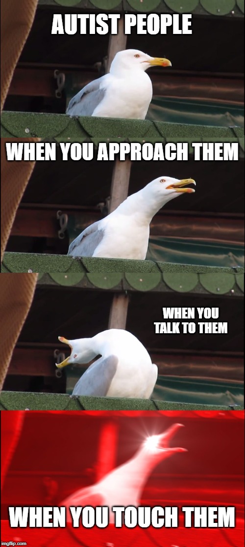 Inhaling Seagull | AUTIST PEOPLE; WHEN YOU APPROACH THEM; WHEN YOU TALK TO THEM; WHEN YOU TOUCH THEM | image tagged in memes,inhaling seagull | made w/ Imgflip meme maker