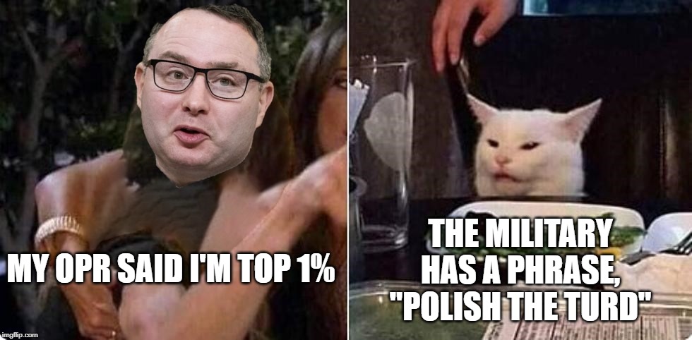 Vindamin, Angry, Cat, Troll | THE MILITARY HAS A PHRASE, "POLISH THE TURD"; MY OPR SAID I'M TOP 1% | image tagged in vindamin angry cat troll | made w/ Imgflip meme maker