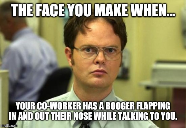 Dwight Schrute Meme | THE FACE YOU MAKE WHEN... YOUR CO-WORKER HAS A BOOGER FLAPPING IN AND OUT THEIR NOSE WHILE TALKING TO YOU. | image tagged in memes,dwight schrute,seriously,gross | made w/ Imgflip meme maker