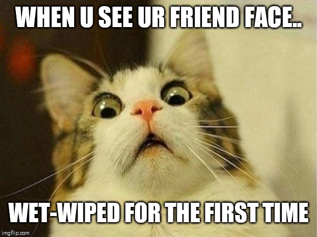 Scared Cat Meme | WHEN U SEE UR FRIEND FACE.. WET-WIPED FOR THE FIRST TIME | image tagged in memes,scared cat | made w/ Imgflip meme maker