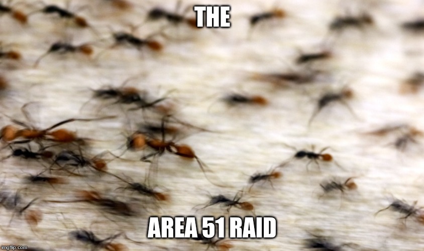 The Area 51 Raid | THE; AREA 51 RAID | image tagged in the area 51 raid | made w/ Imgflip meme maker