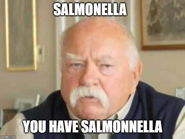 Wilford Brimley | SALMONELLA YOU HAVE SALMONNELLA | image tagged in wilford brimley | made w/ Imgflip meme maker
