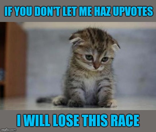 Race to one million points! A 44colt vs Heavencanwait event. Nov. 16 until...whenever ;) | IF YOU DON'T LET ME HAZ UPVOTES; I WILL LOSE THIS RACE | image tagged in sad kitten,44colt,heavencanwait,race to one million points | made w/ Imgflip meme maker