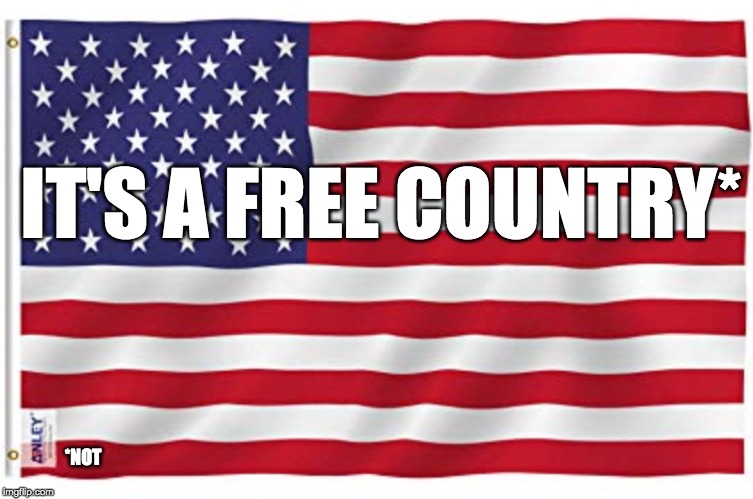 IT'S A FREE COUNTRY*; *NOT | image tagged in free speech | made w/ Imgflip meme maker