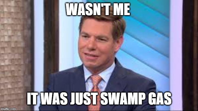 WASN'T ME; IT WAS JUST SWAMP GAS | image tagged in politics | made w/ Imgflip meme maker