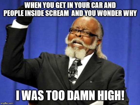 It wasn't your car! | WHEN YOU GET IN YOUR CAR AND PEOPLE INSIDE SCREAM  AND YOU WONDER WHY; I WAS TOO DAMN HIGH! | image tagged in memes,too damn high | made w/ Imgflip meme maker