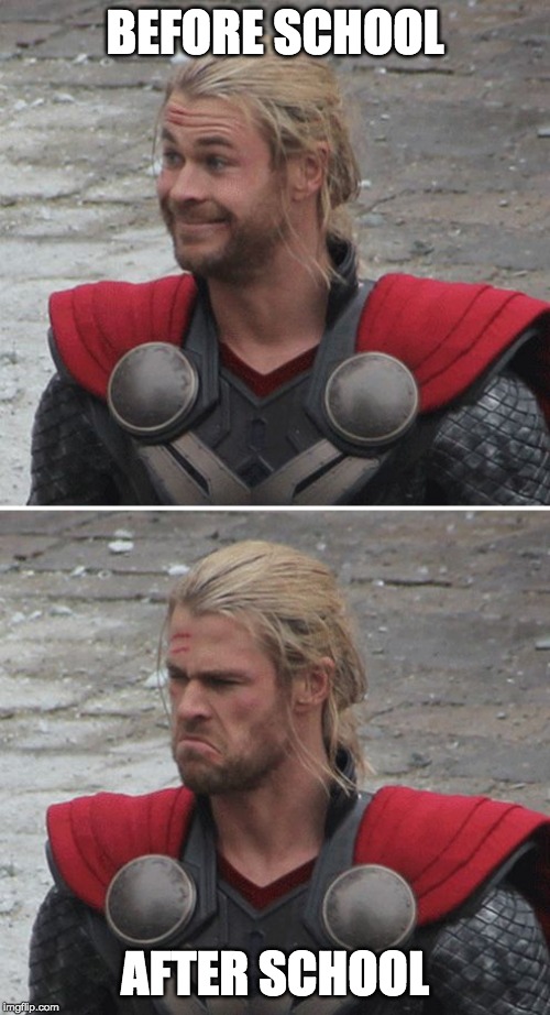 Thor happy then sad | BEFORE SCHOOL; AFTER SCHOOL | image tagged in thor happy then sad | made w/ Imgflip meme maker