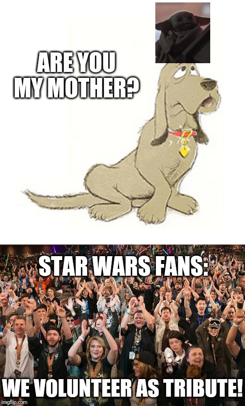 ARE YOU MY MOTHER? STAR WARS FANS:; WE VOLUNTEER AS TRIBUTE! | image tagged in baby yoda,star wars,cute,dr seuss,disney | made w/ Imgflip meme maker