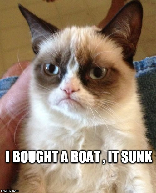 Grumpy Cat | I BOUGHT A BOAT , IT SUNK | image tagged in memes,grumpy cat | made w/ Imgflip meme maker