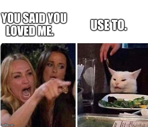 Lady screams at cat | USE TO. YOU SAID YOU LOVED ME. | image tagged in lady screams at cat | made w/ Imgflip meme maker