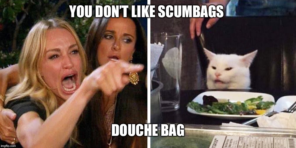 Smudge the cat | YOU DON’T LIKE SCUMBAGS; DOUCHE BAG | image tagged in smudge the cat | made w/ Imgflip meme maker