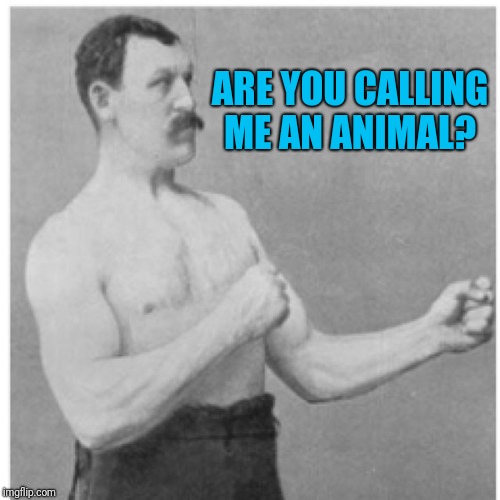 Overly Manly Man Meme | ARE YOU CALLING ME AN ANIMAL? | image tagged in memes,overly manly man | made w/ Imgflip meme maker