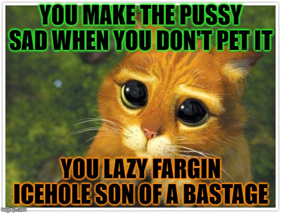 Shrek Cat Meme | YOU MAKE THE PUSSY SAD WHEN YOU DON'T PET IT; YOU LAZY FARGIN ICEHOLE SON OF A BASTAGE | image tagged in memes,shrek cat | made w/ Imgflip meme maker