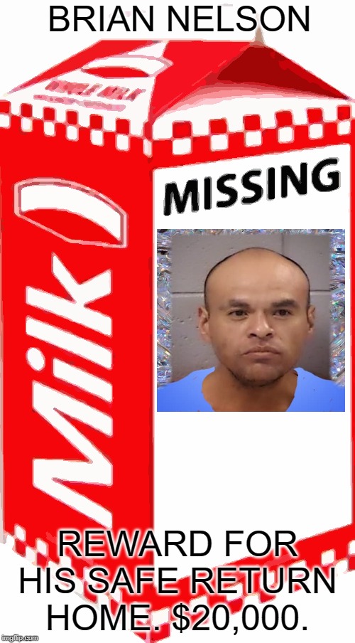Missing | BRIAN NELSON; REWARD FOR HIS SAFE RETURN HOME. $20,000. | image tagged in missing | made w/ Imgflip meme maker