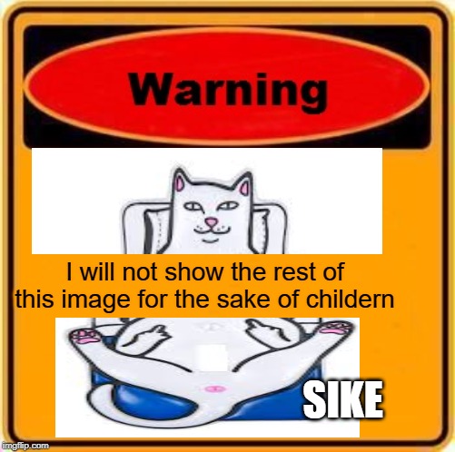 Warning Sign | I will not show the rest of this image for the sake of childern; SIKE | image tagged in memes,warning sign | made w/ Imgflip meme maker