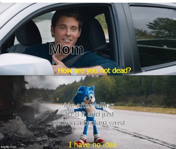 sonic how are you not dead | Mom; Me after falling 10-8 ft and just getting a broken wrist | image tagged in sonic how are you not dead | made w/ Imgflip meme maker