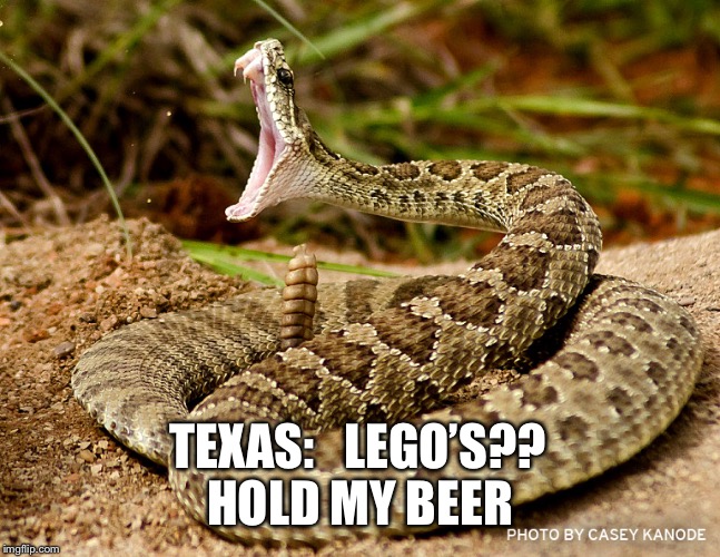 rattlesnake | TEXAS:   LEGO’S?? HOLD MY BEER | image tagged in rattlesnake | made w/ Imgflip meme maker