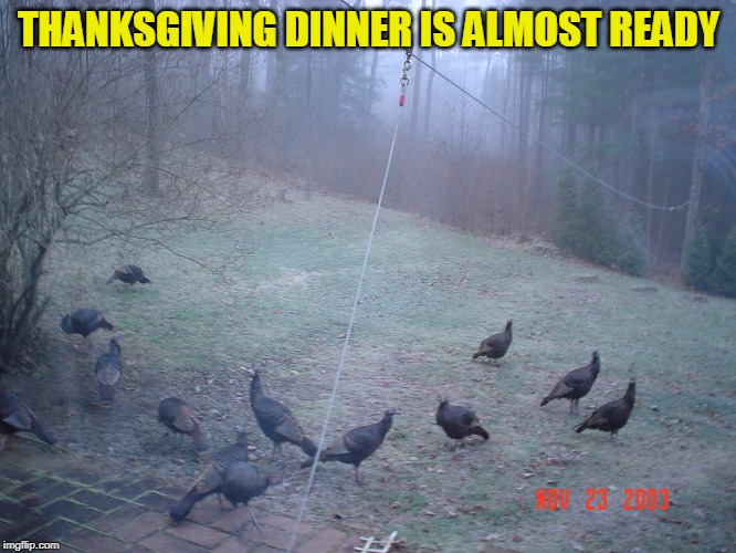 I took this the day before Thanksgiving out my back door | THANKSGIVING DINNER IS ALMOST READY | image tagged in thanksgiving dinner | made w/ Imgflip meme maker