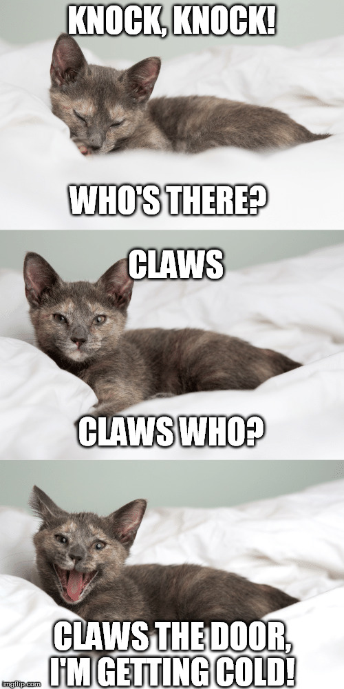 KNOCK, KNOCK! CLAWS THE DOOR, I'M GETTING COLD! WHO'S THERE? CLAWS CLAWS WHO? | made w/ Imgflip meme maker