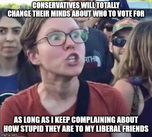 Angry Liberal | CONSERVATIVES WILL TOTALLY CHANGE THEIR MINDS ABOUT WHO TO VOTE FOR; AS LONG AS I KEEP COMPLAINING ABOUT HOW STUPID THEY ARE TO MY LIBERAL FRIENDS | image tagged in angry liberal,AdviceAnimals | made w/ Imgflip meme maker