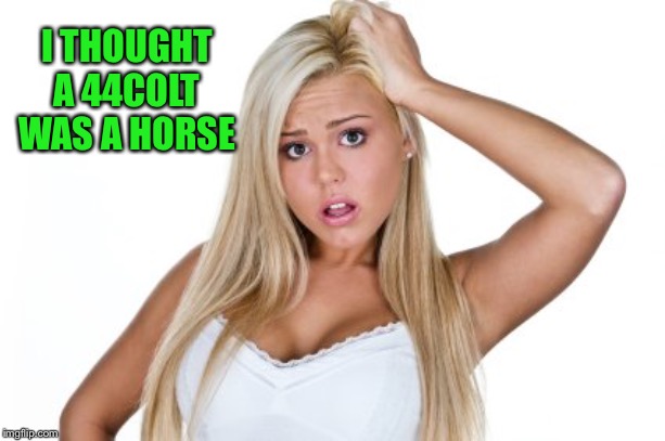 Dumb Blonde | I THOUGHT A 44COLT WAS A HORSE | image tagged in dumb blonde | made w/ Imgflip meme maker
