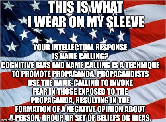 USA Flag | THIS IS WHAT I WEAR ON MY SLEEVE YOUR INTELLECTUAL RESPONSE IS NAME CALLING?
COGNITIVE BIAS AND NAME CALLING IS A TECHNIQUE TO PROMOTE PROPA | image tagged in usa flag | made w/ Imgflip meme maker