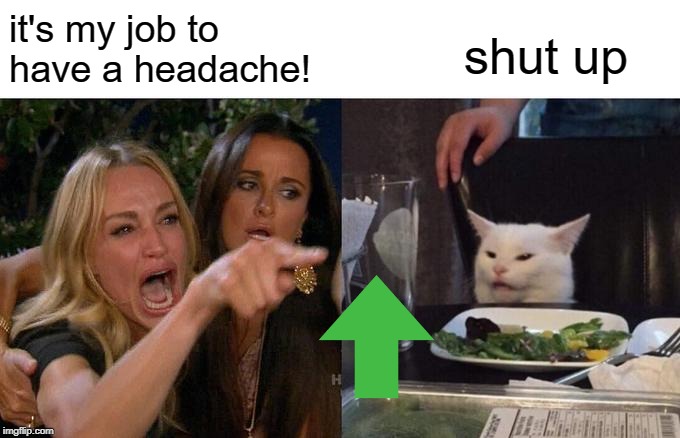 Woman Yelling At Cat Meme | it's my job to have a headache! shut up | image tagged in memes,woman yelling at cat | made w/ Imgflip meme maker