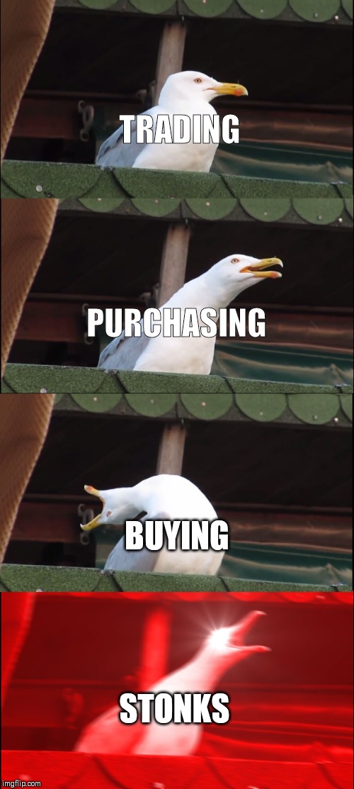 Inhaling Seagull | TRADING; PURCHASING; BUYING; STONKS | image tagged in memes,inhaling seagull | made w/ Imgflip meme maker