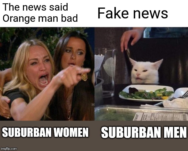 Woman Yelling At Cat | The news said Orange man bad; Fake news; SUBURBAN MEN; SUBURBAN WOMEN | image tagged in memes,woman yelling at cat | made w/ Imgflip meme maker